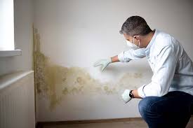 Why You Should Choose Our Mold Remediation Services in Waialua, HI